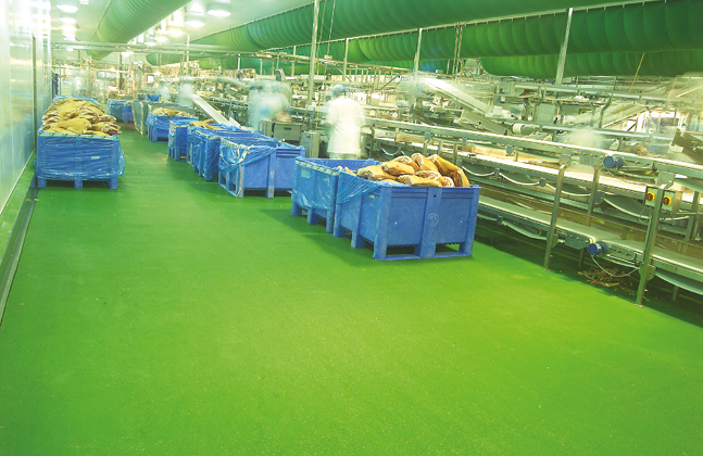Flooring in food and beverage facility