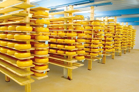 Süt ve Peynir Fabrikaları