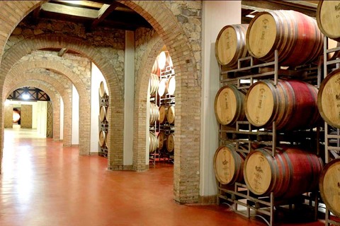Castello Banfi, domaine viticole italien