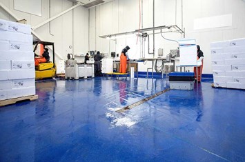 Industria ittica