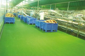 Industria della carne