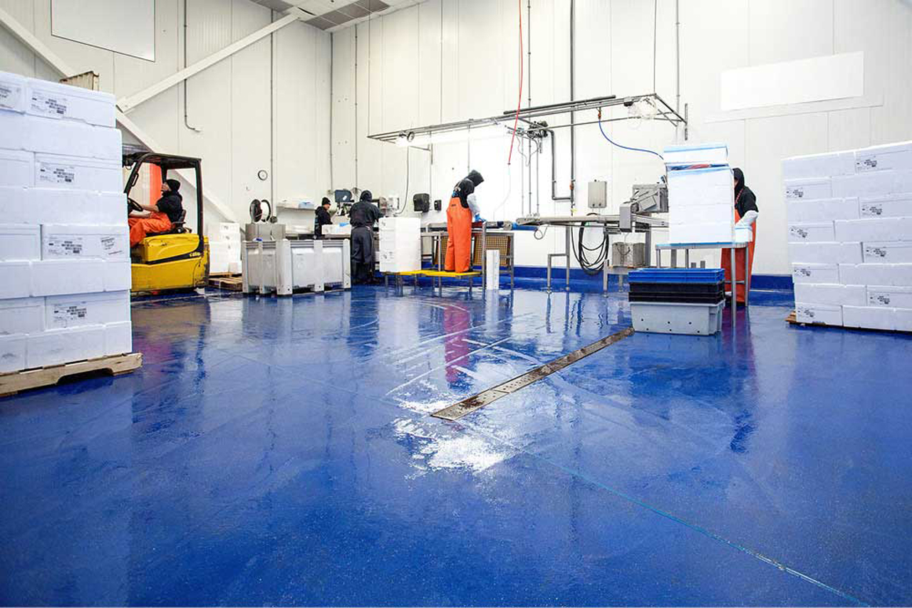 Pavimentos higiénicos Flowcrete - Industria del pescado