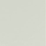 Silver Grey 204
