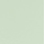 Polar Green 713