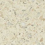 Oyster White 101