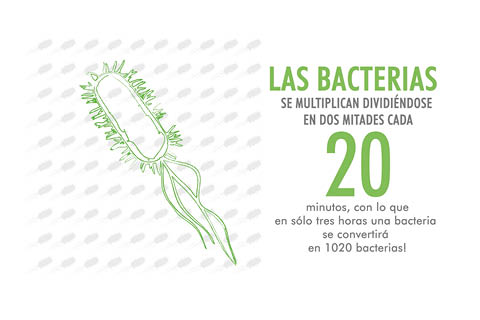 Bacterias Flowcrete