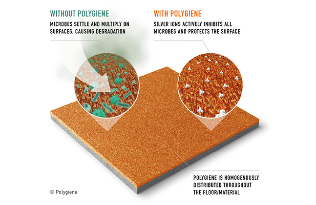 How Polygiene Works