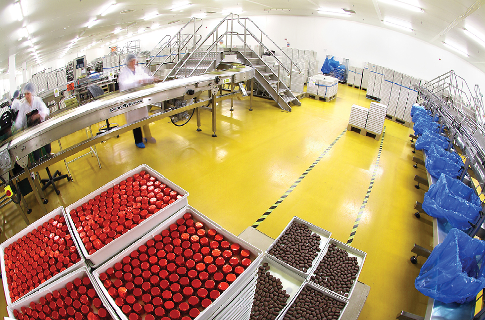 thorntons-02.jpg