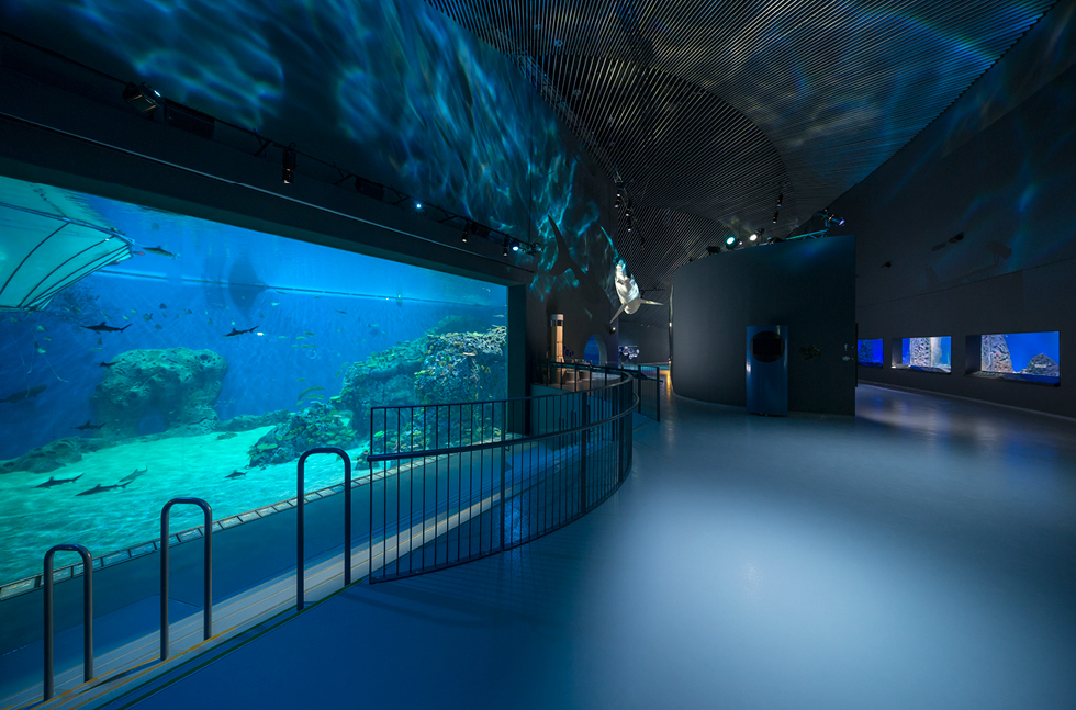 blue-planet-denmark-03.jpg