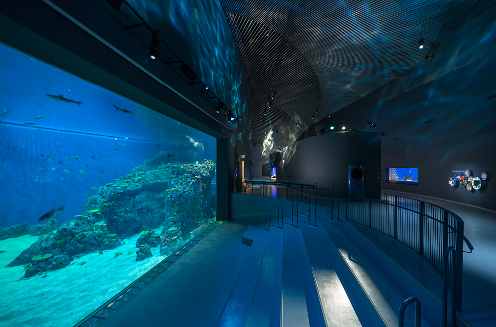 blue-planet-denmark-04.jpg