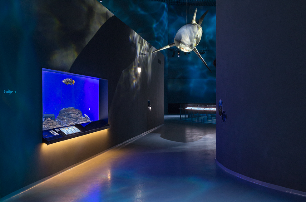 blue-planet-denmark-08.jpg