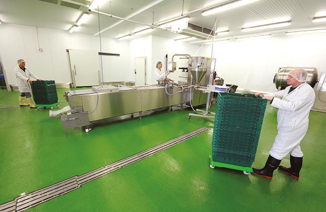 FLOWFRESH: Tecnologia Flowcrete per le pavimentazioni in resina in ambito alimentare