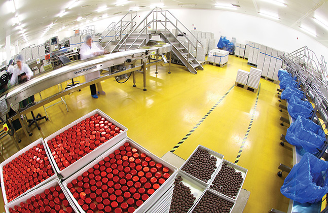 FLOWFRESH: Tecnologia Flowcrete per le pavimentazioni in resina in ambito alimentare