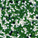 Green 5090/7090