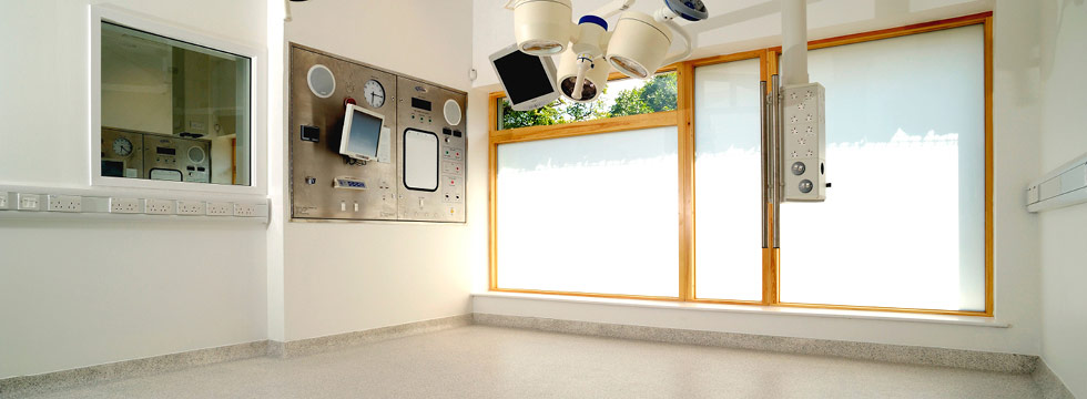 El Sector Salud