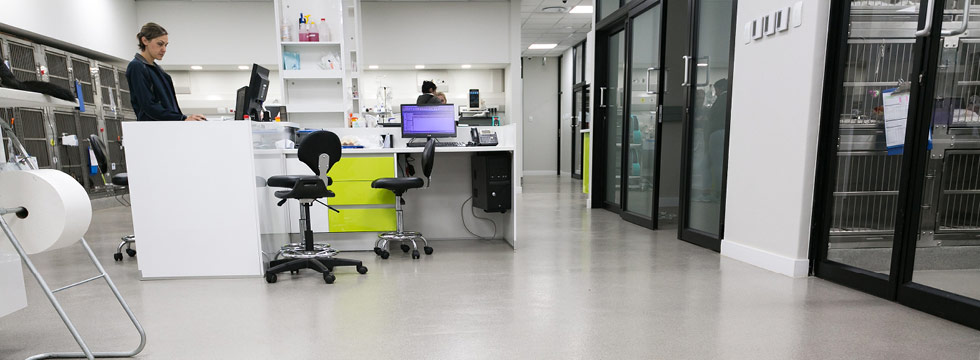 El Sector Salud